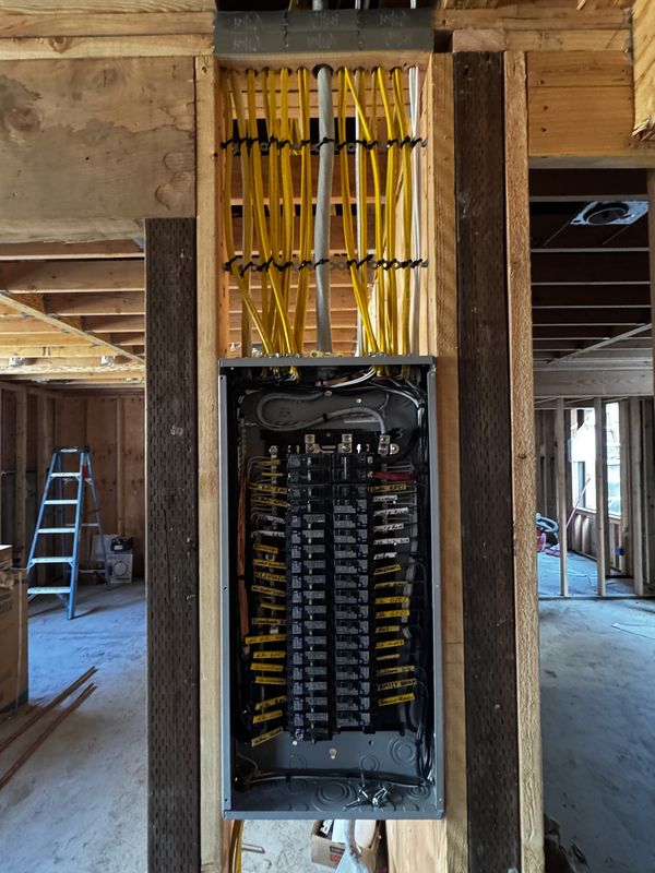 New copper home-run branch circuits neatly trained and tied above the main load center